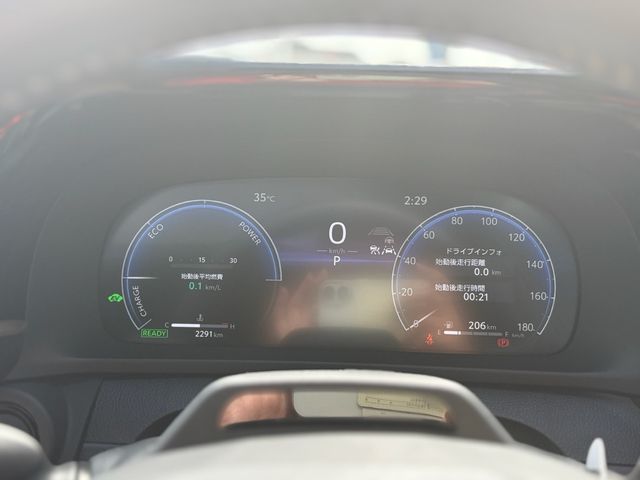 CROWN SPORT