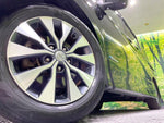 SERENA  S-HYBRID