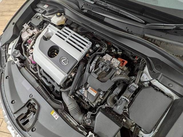 LEXUS UX250h