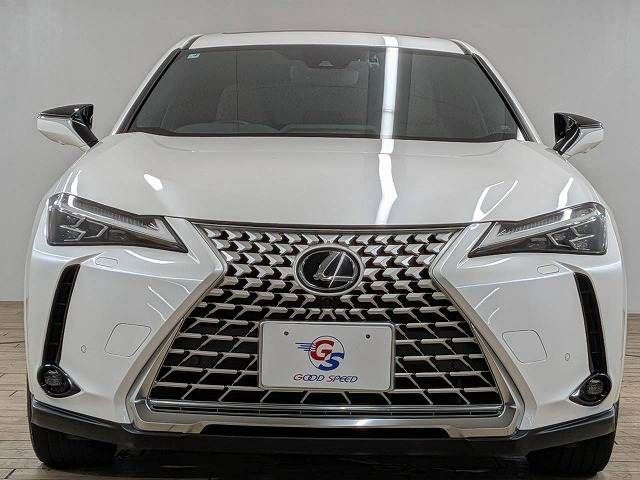 LEXUS UX250h