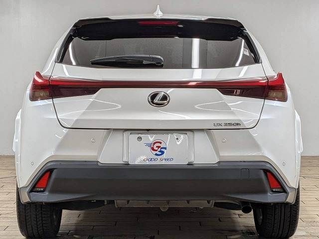 LEXUS UX250h