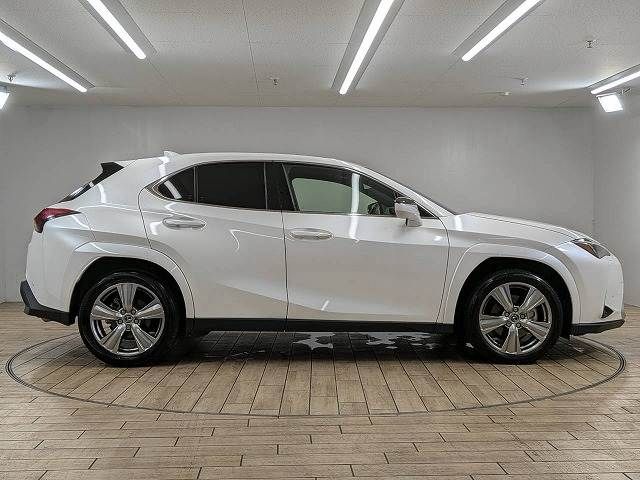 LEXUS UX250h