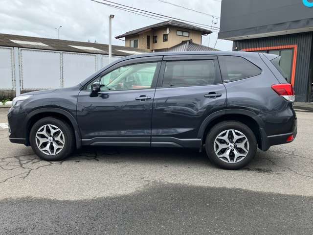 FORESTER