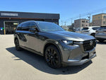 CX-80