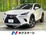 LEXUS NX300h