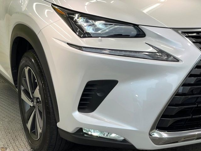 LEXUS NX300h