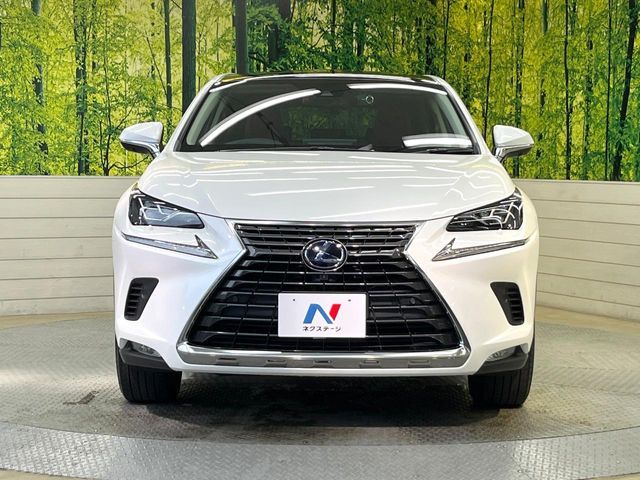 LEXUS NX300h