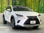 LEXUS NX300h