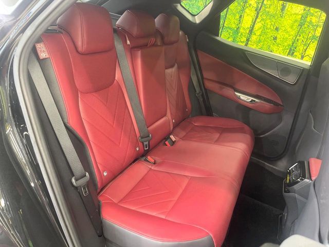 LEXUS NX350h