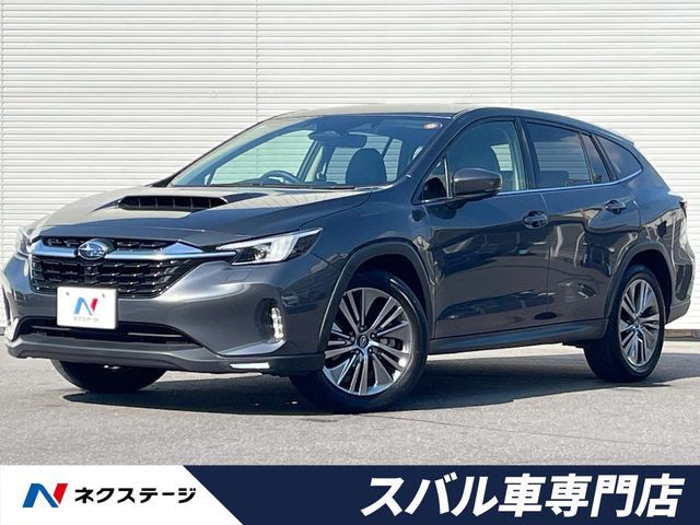 LEVORG LAYBACK