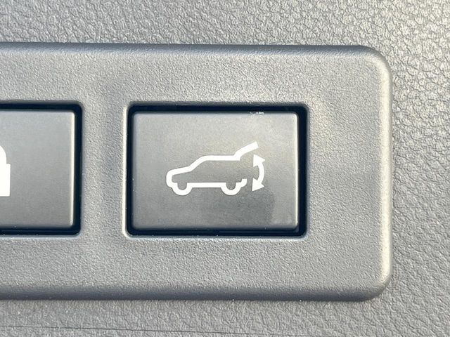LEVORG LAYBACK