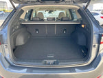 LEVORG LAYBACK