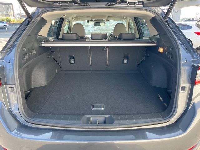 LEVORG LAYBACK