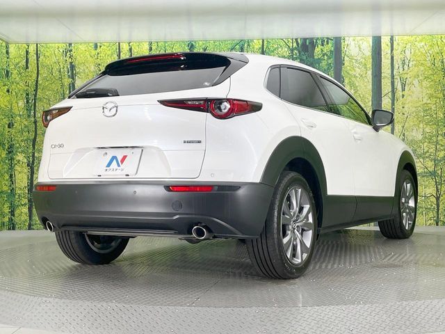 CX-30