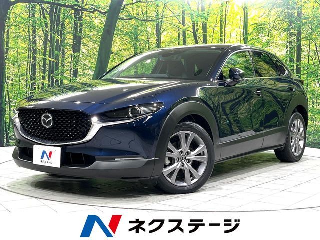 CX-30