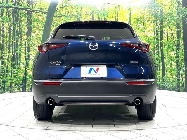 CX-30