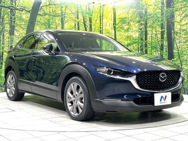 CX-30