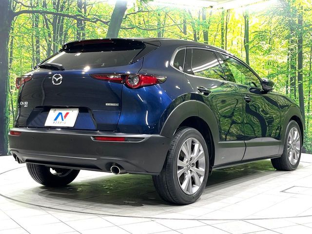 CX-30