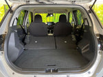 RAIZE HYBRID