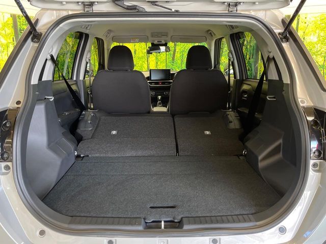 RAIZE HYBRID