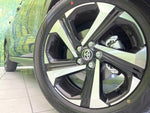 RAIZE HYBRID