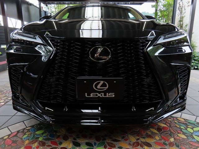 LEXUS NX350h AWD