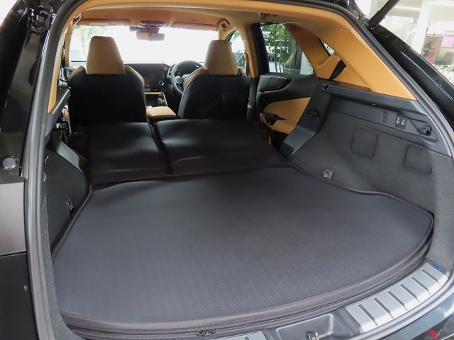 LEXUS NX350h AWD