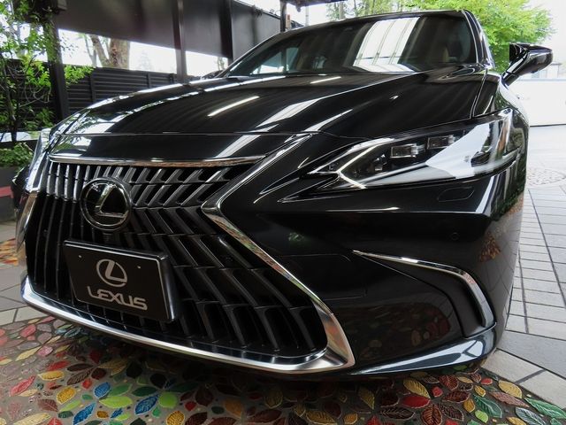 LEXUS ES300h