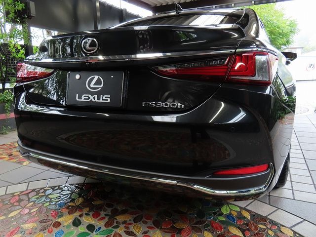 LEXUS ES300h