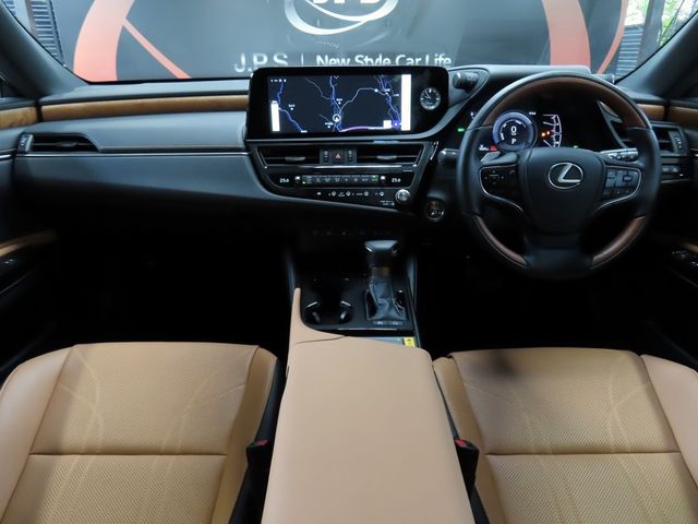 LEXUS ES300h