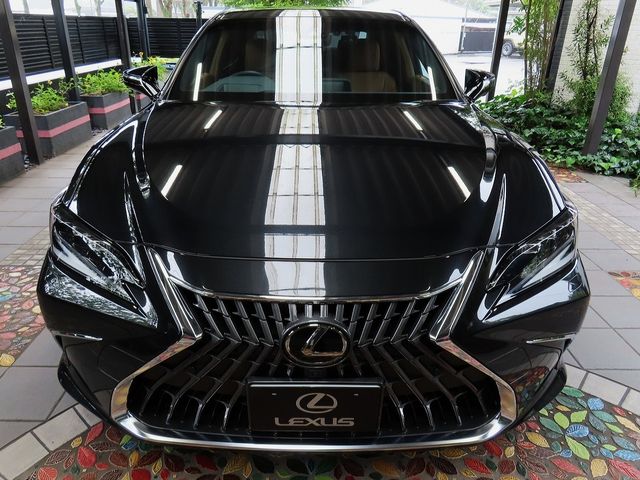 LEXUS ES300h