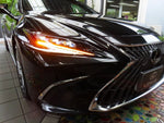 LEXUS ES300h
