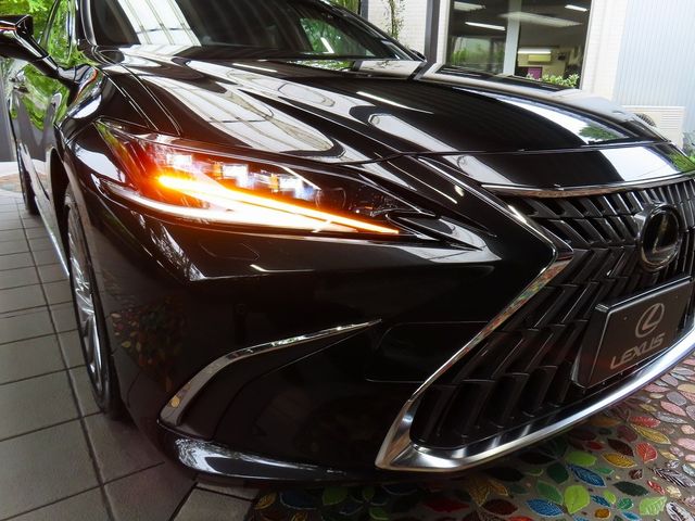 LEXUS ES300h