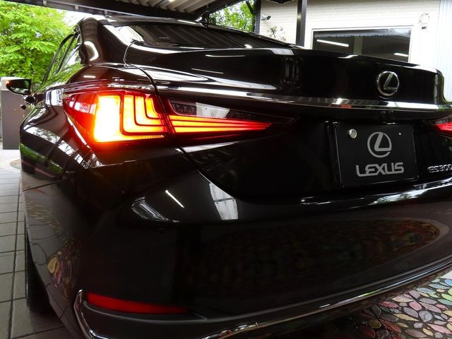 LEXUS ES300h