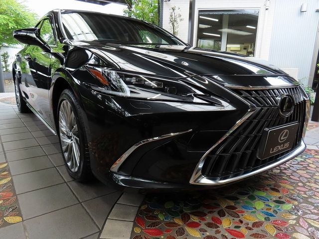 LEXUS ES300h