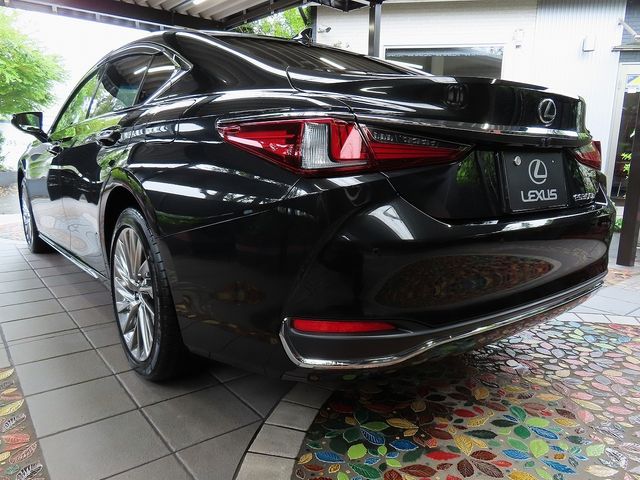LEXUS ES300h