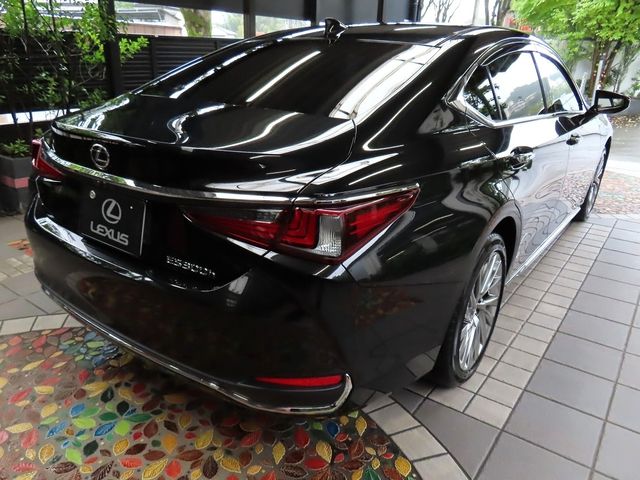 LEXUS ES300h