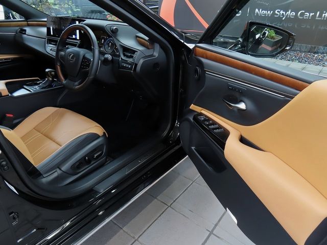 LEXUS ES300h