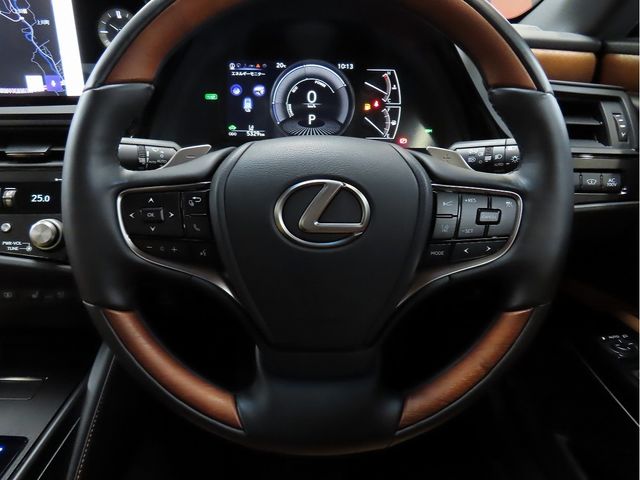 LEXUS ES300h