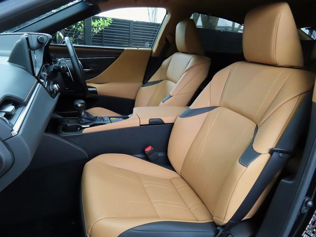 LEXUS ES300h