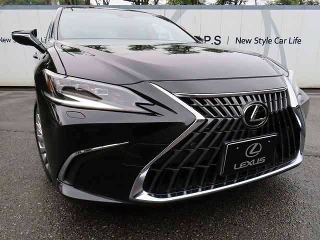 LEXUS ES300h
