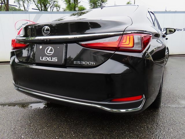 LEXUS ES300h