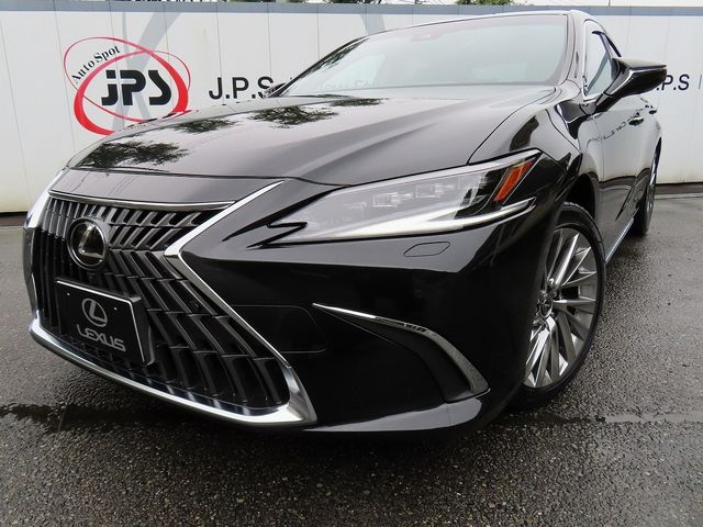 LEXUS ES300h