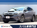 LEVORG LAYBACK