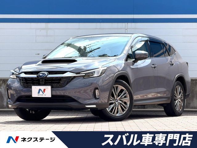 LEVORG LAYBACK