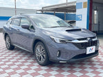 LEVORG LAYBACK