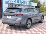 LEVORG LAYBACK