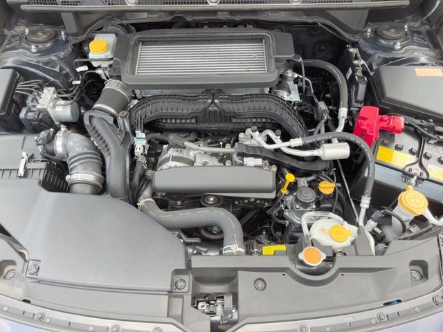 LEVORG LAYBACK