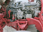 CANTER GUTS