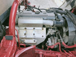 CANTER GUTS